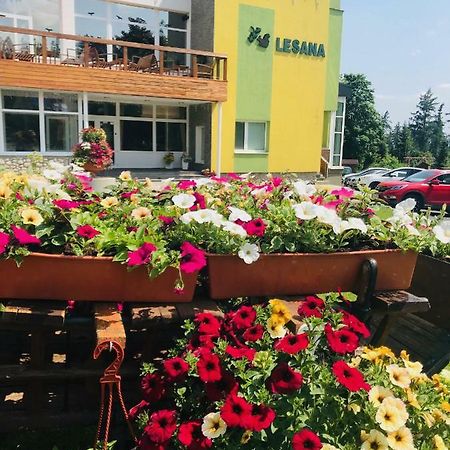 Hotel Lesana Stara Lesna Bagian luar foto