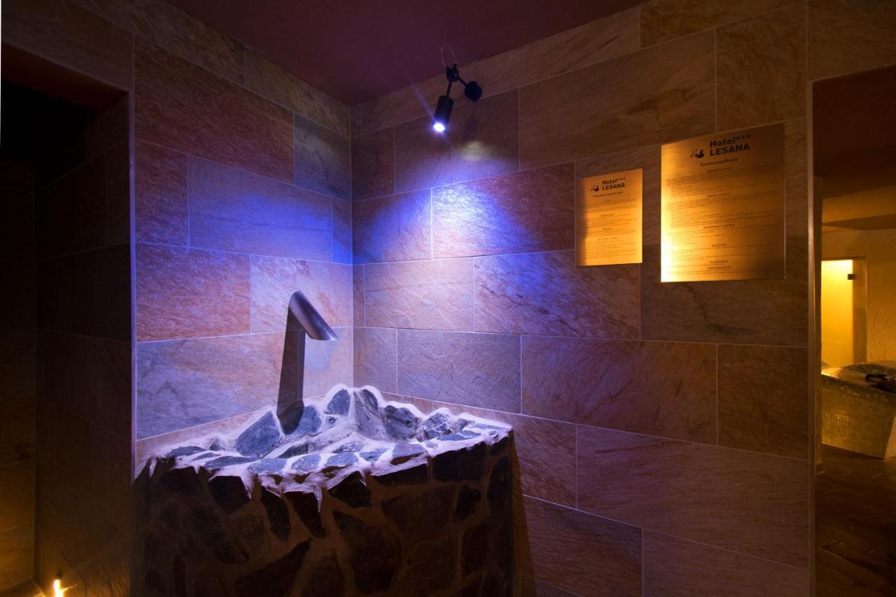 Hotel Lesana Stara Lesna Bagian luar foto